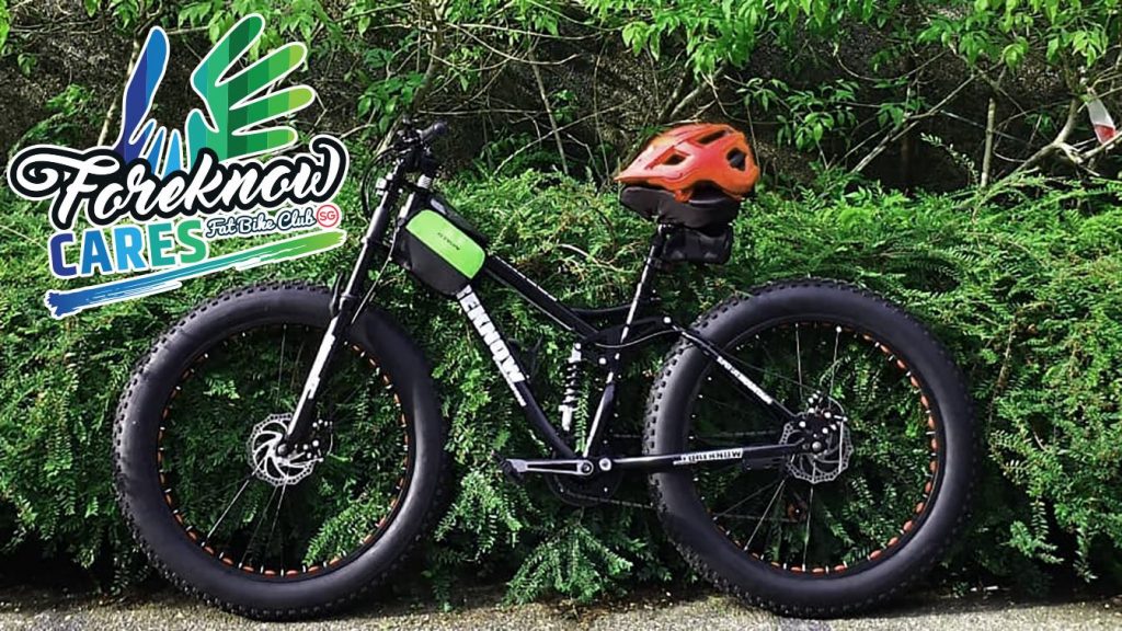 Foreknow fat discount bike full suspension